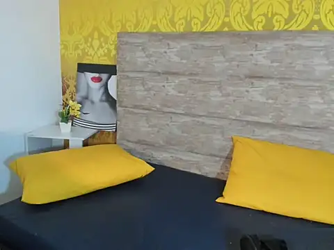 Snapshot of Geminis___ chatting on 13, 2, 2026 Geminis online show from 13, 2, 2026