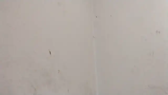 MisterSnowww online show from 6, 3, 2026