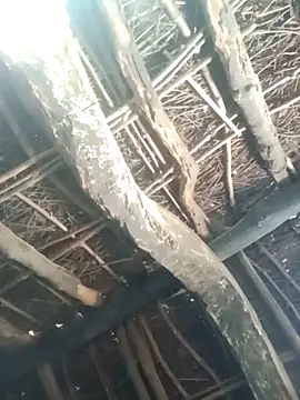 Snapshot of Manu_mehta chatting on 31, 3, 2026 Manu mehta online show from 31, 3, 2026