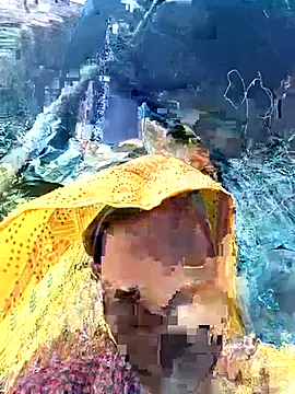 Meena sakshi online show from 3, 2, 2026