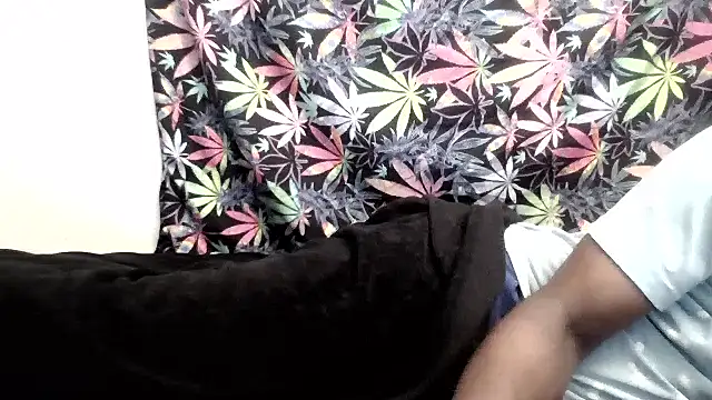 libraxxxstudios online show from 3, 6, 2026