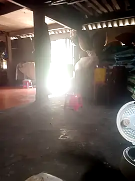 cana4455 online show from 24, 3, 2026