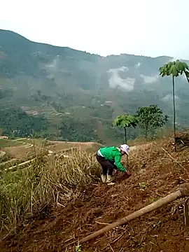 cana4455 online show from 10, 3, 2026