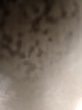 Taboada20 online show from 6, 3, 2026