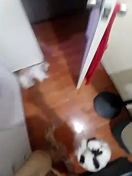 Taboada20 online show from 8, 4, 2026