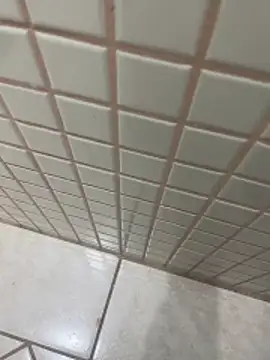 morenalinda22 online show from 11, 3, 2026