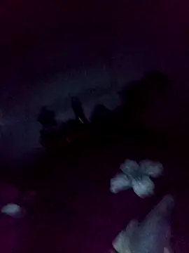 Snapshot of loveofpetitegirls34 chatting on 13, 2, 2026 loveofpetitegirls34 online show from 13, 2, 2026