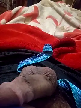 Al-Hari online show from 8, 2, 2026