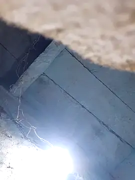 sapnaroy120 online show from 3, 3, 2026