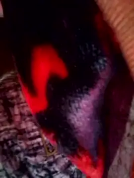 Talkwithsex online show from 30, 3, 2026