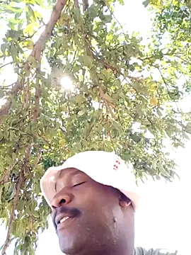 Sbuda3159 online show from 8, 2, 2026