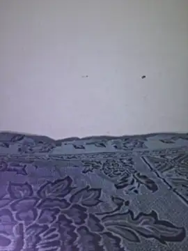 Sakeemaxxy online show from 13, 4, 2026