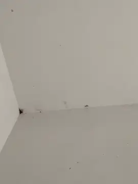 -for-you- online show from 23, 2, 2026