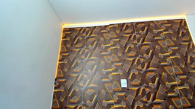 abbyyevanss online show from 19, 2, 2026