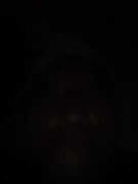 perrit17 online show from 6, 4, 2026