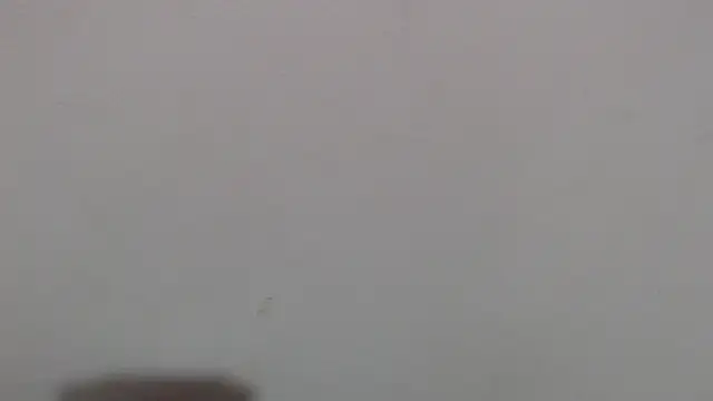 im angel777 online show from 4, 2, 2026