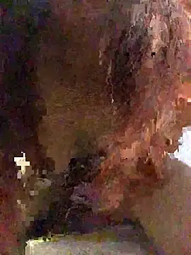 Cheng baby online show from 10, 3, 2026