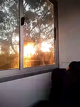 Damian-787 online show from 4, 2, 2026