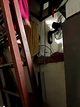 Wildcam21 online show from 15, 2, 2026