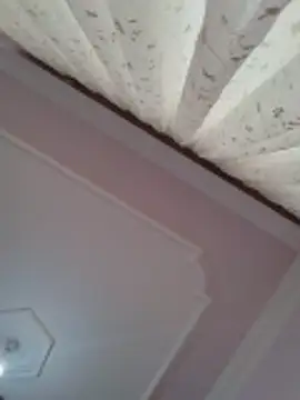 Snapshot of boraaily chatting on 23, 2, 2026 boraaily online show from 23, 2, 2026