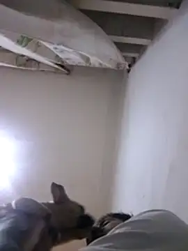 Snapshot of CubanoxxxSex chatting on 12, 2, 2026 CubanoxxxSex online show from 12, 2, 2026