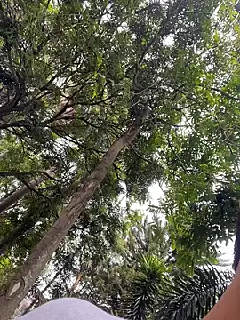 Gael Velaryx online show from 10, 4, 2026