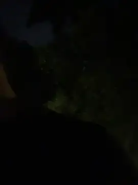 Gael Velaryx online show from 2, 4, 2026