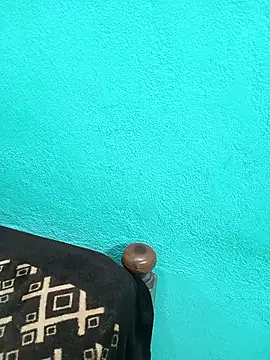 Tamilkannadacouple online show from 13, 3, 2026