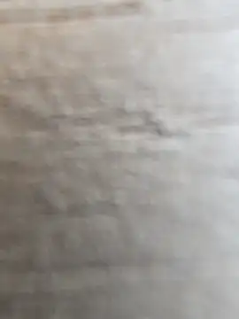 Snapshot of manish_8826 chatting on 12, 2, 2026 manish 8826 online show from 12, 2, 2026