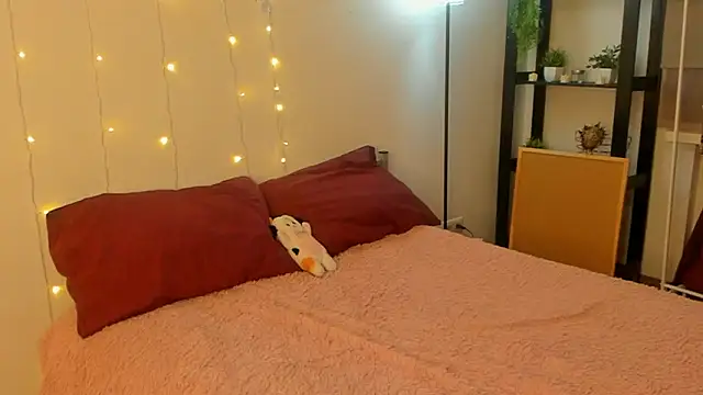 CalmFever online show from 11, 2, 2026