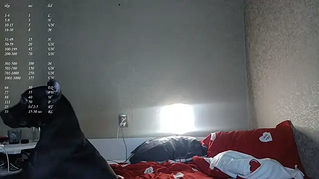 Snapshot of ShayneMilush chatting on 15, 2, 2026 ShayneMilush online show from 15, 2, 2026