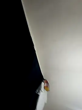 baby 22cm online show from 11, 2, 2026