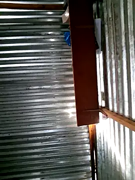 DocCock021 online show from 7, 2, 2026