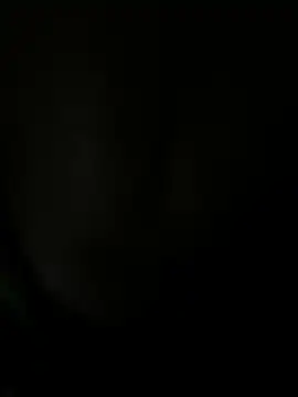 buzzingbud online show from 1, 3, 2026