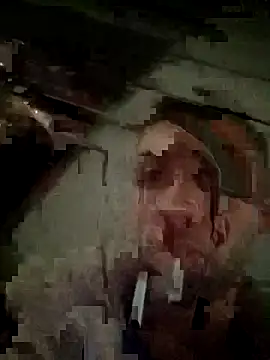 galgo99 online show from 12, 4, 2026