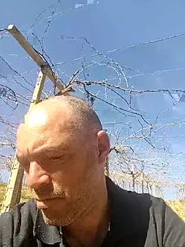 circott online show from 22, 2, 2026