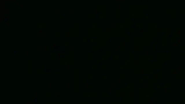 xxBabyDoll online show from 30, 3, 2026