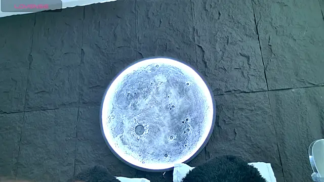 Snapshot of Alice-Bunny chatting on 18, 2, 2026 Alice-Bunny online show from 18, 2, 2026