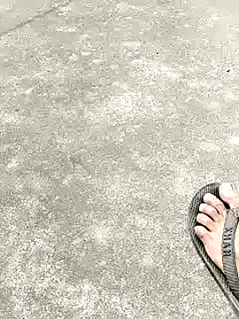 collboy8166 online show from 16, 2, 2026