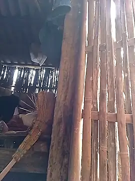 Nhoccon90 online show from 2, 3, 2026