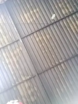 Linka998 online show from 25, 3, 2026