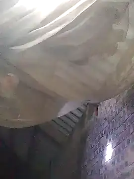 Linka998 online show from 26, 3, 2026