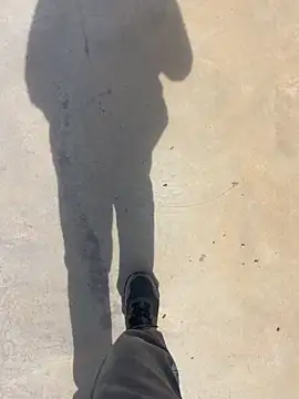 stallone italiano 62 online show from 26, 3, 2026