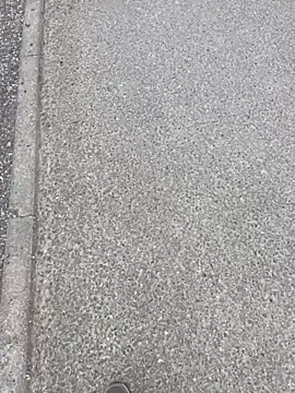 stallone italiano 62 online show from 12, 4, 2026