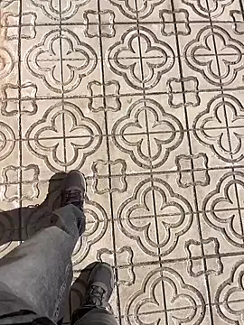 stallone italiano 62 online show from 25, 3, 2026