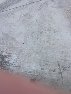 stallone italiano 62 online show from 8, 2, 2026