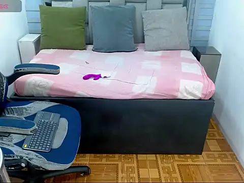 Snapshot of WilThePasive chatting on 14, 2, 2026 WilThePasive online show from 14, 2, 2026