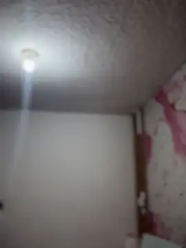 Woo isDaphne online show from 23, 3, 2026