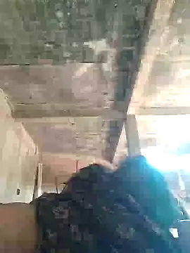 Loomaraj online show from 12, 4, 2026