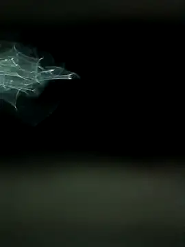 maharashtra boy mh19 online show from 18, 3, 2026